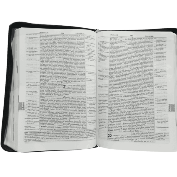 Tamil Reference Bible - Daniel Reference Bible - Image 2