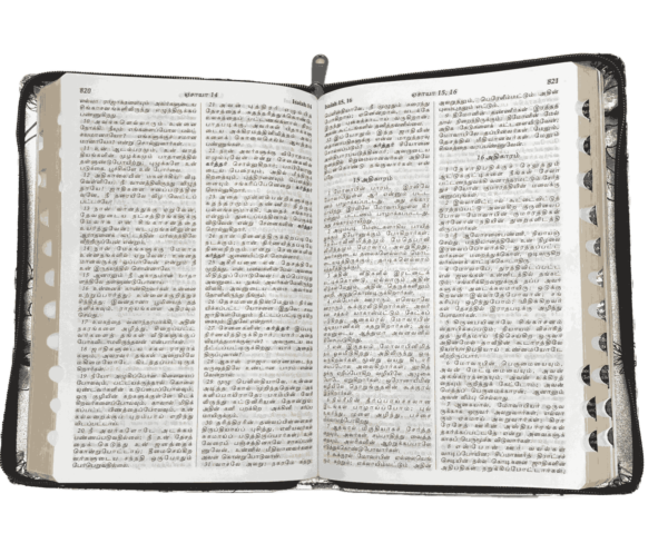 Tamil Royal Size B.S.I. Kilt Binding Bible Special Color with Index - Image 5