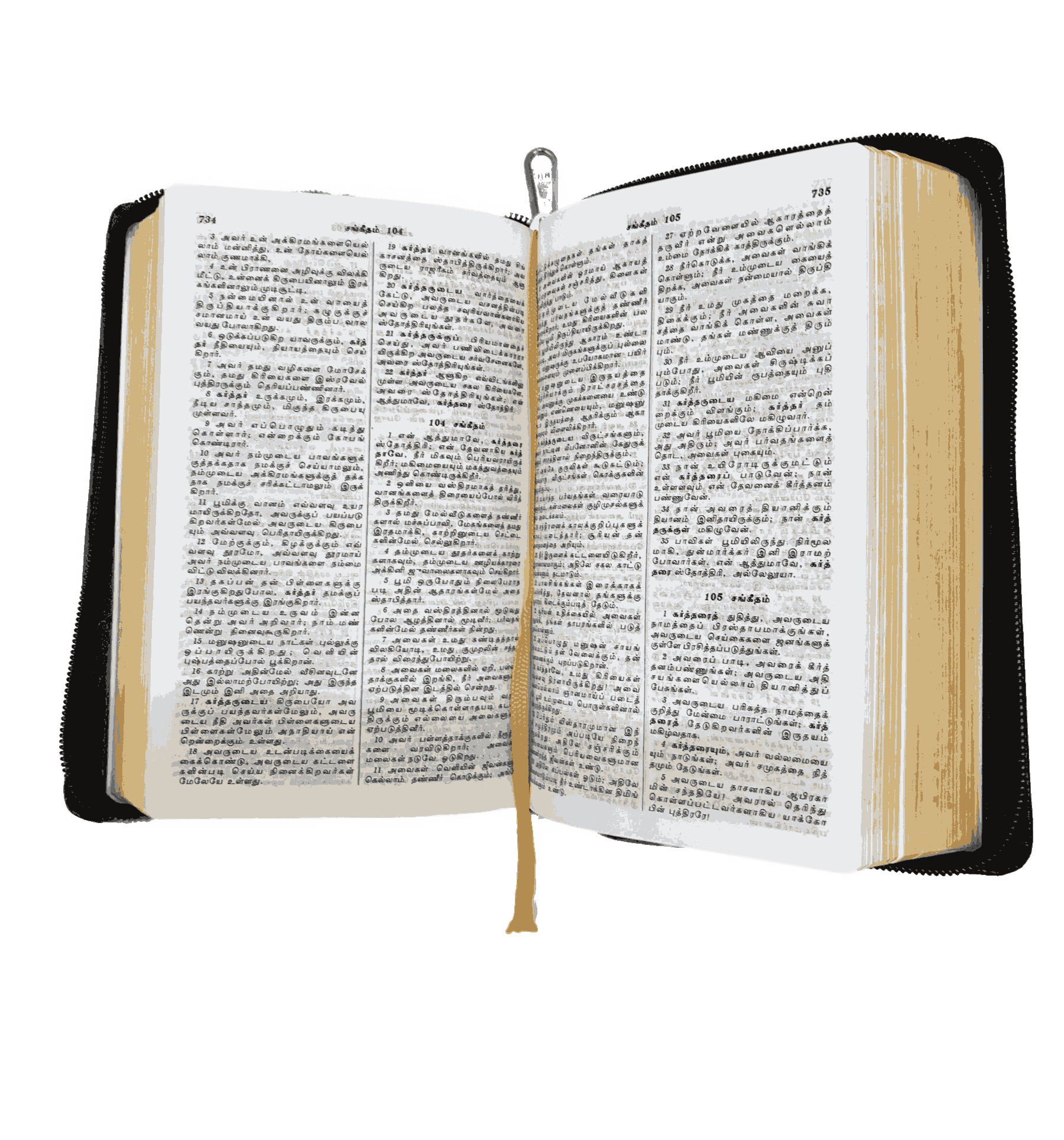 Bible Tamil Demy Size Gilt Binding (14.5 cm x 22cm) - Image 7